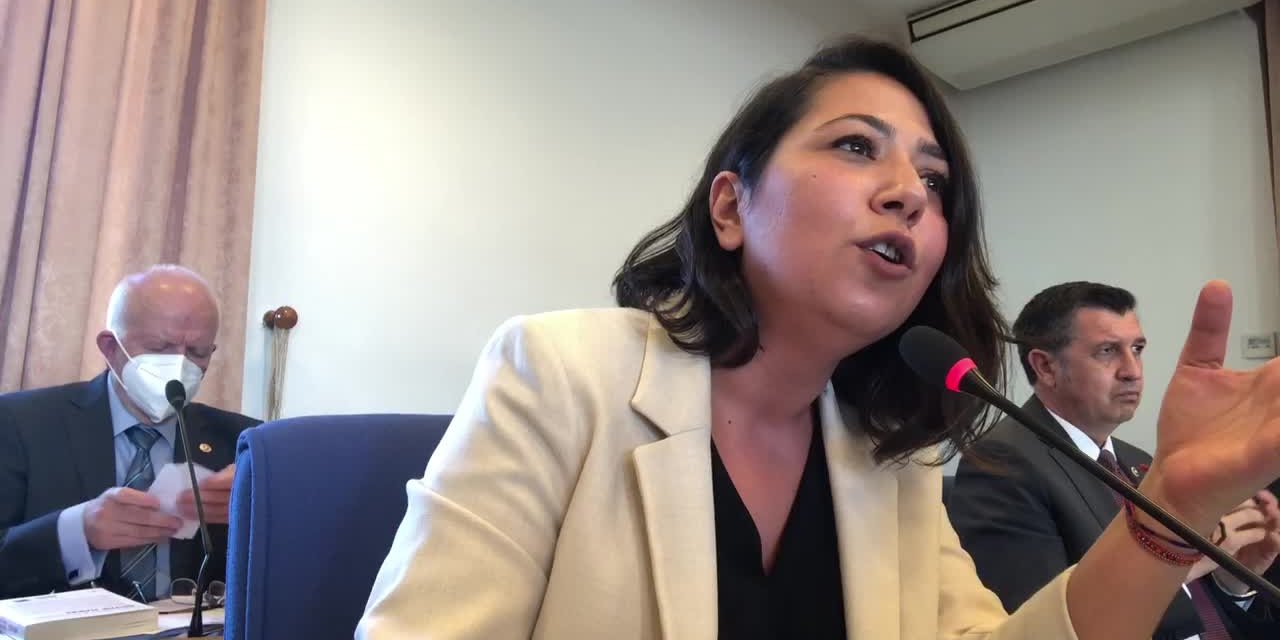 KADIGİL, HAYVANLARI KORUMA KANUN TEKLİFİ'Nİ DEĞERLENDİRDİ: "TBMM’NİN, ATANMIŞ BAKANLARA İRADE TESLİMİNİN SOMUT RESMİ"