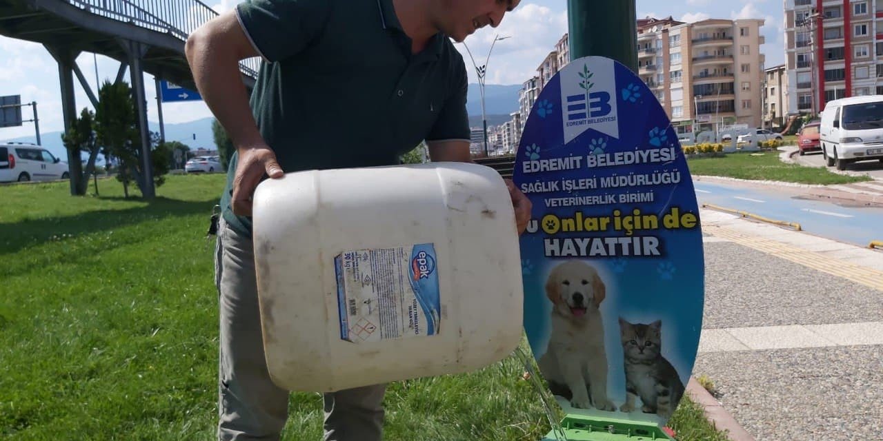 EDREMİT'TE SOKAK HAYVANLARI SUSUZ KALMAYACAK