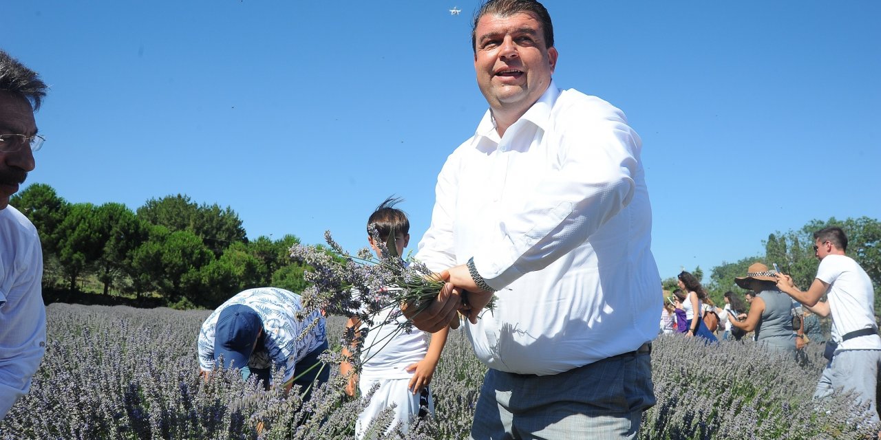 SEFERİHİSAR'DA LAVANTA ŞENLİĞİ