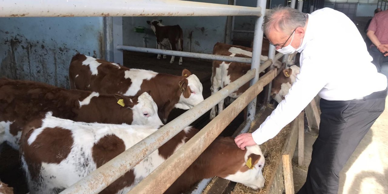 İYİ PARTİLİ TATLIOĞLU: “GÜBRE FİYATI SON BİR YILDA YÜZDE 100 ARTTI, HAYVANCILIK BİTME NOKTASINA GELDİ”