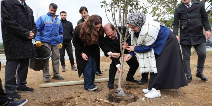 YTÜ, MİLLİ AĞAÇLANDIRMA GÜNÜ’NDE 113 AĞACI TOPRAKLA BULUŞTURDU