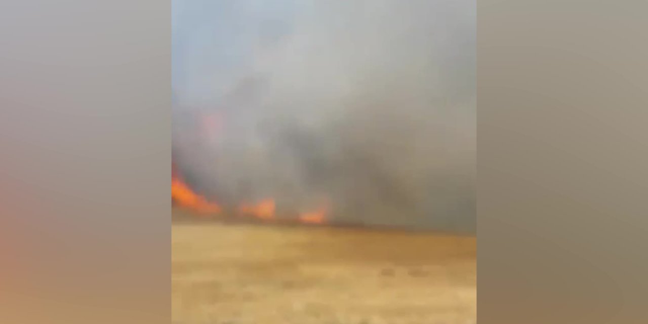 MİLAS’TA ORMANLIK ALANDA BAŞLAYAN YANGIN TARIM ARAZİLERİNE SIÇRADI