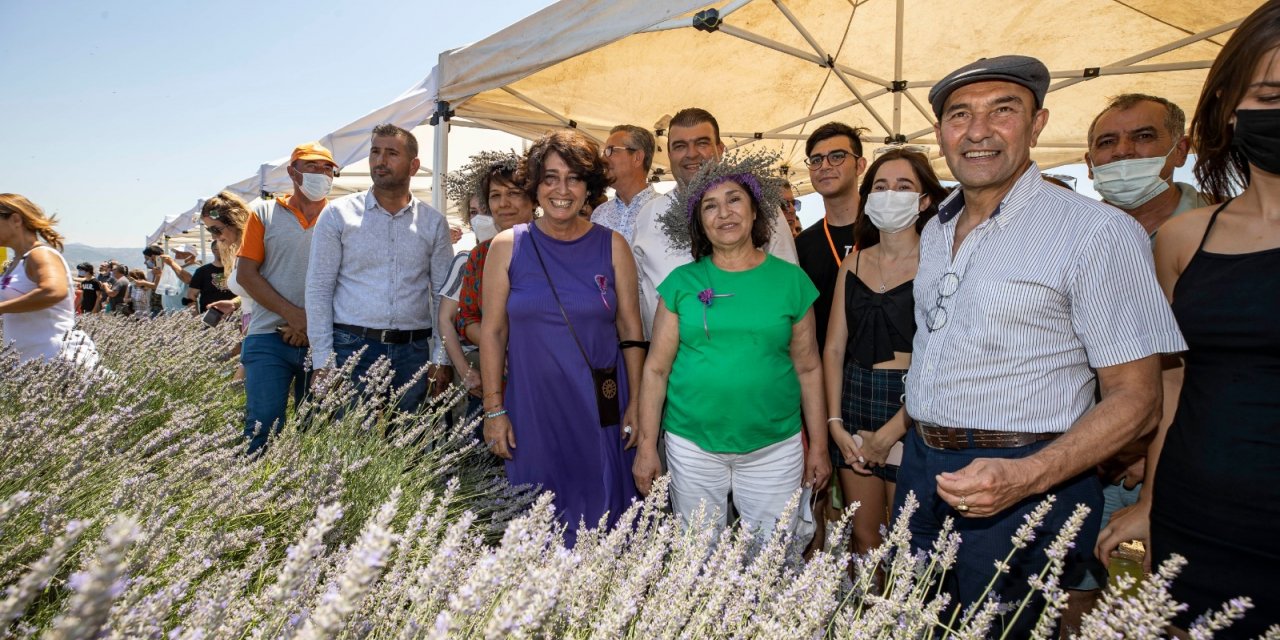 SEFERİHİSAR'DA LAVANTA HASADI YAPILDI