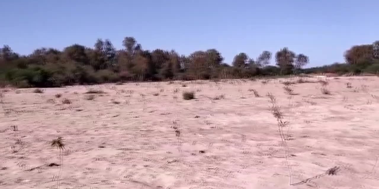 TARIM ORMAN İŞ SENDİKASI BAŞKANI DURMUŞ'TAN "PATARA" AÇIKLAMASI: "ŞİMDİ VATANDAŞLAR, ORMANLARI DEVLETTEN KORUMAYA ÇALIŞIYOR"