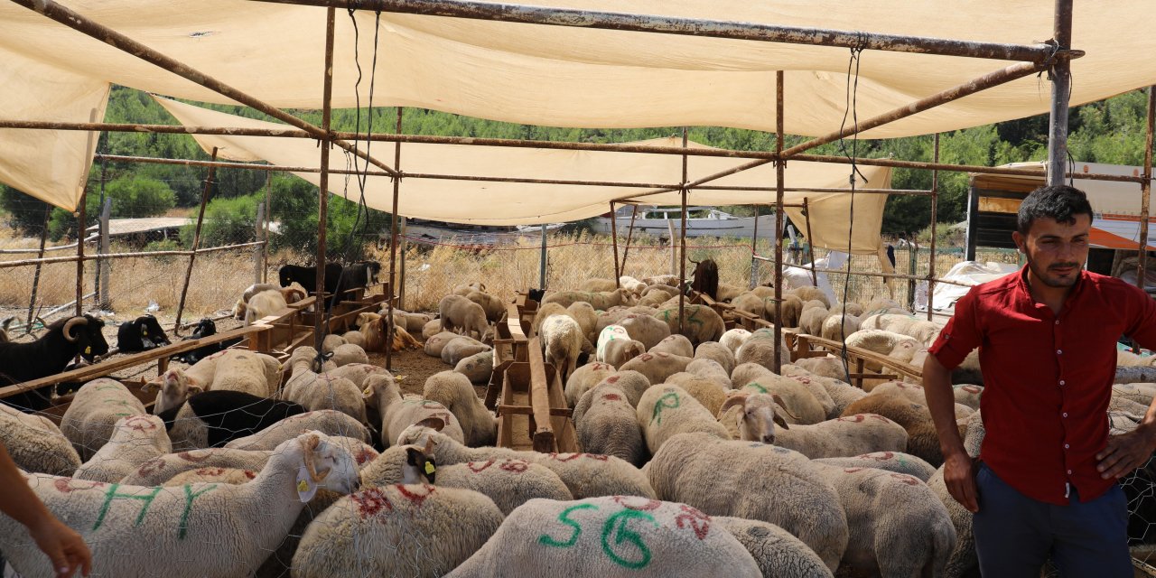 MARMARİS'TE KURBAN SATIŞ VE KESİM YERLERİ BELİRLENDİ