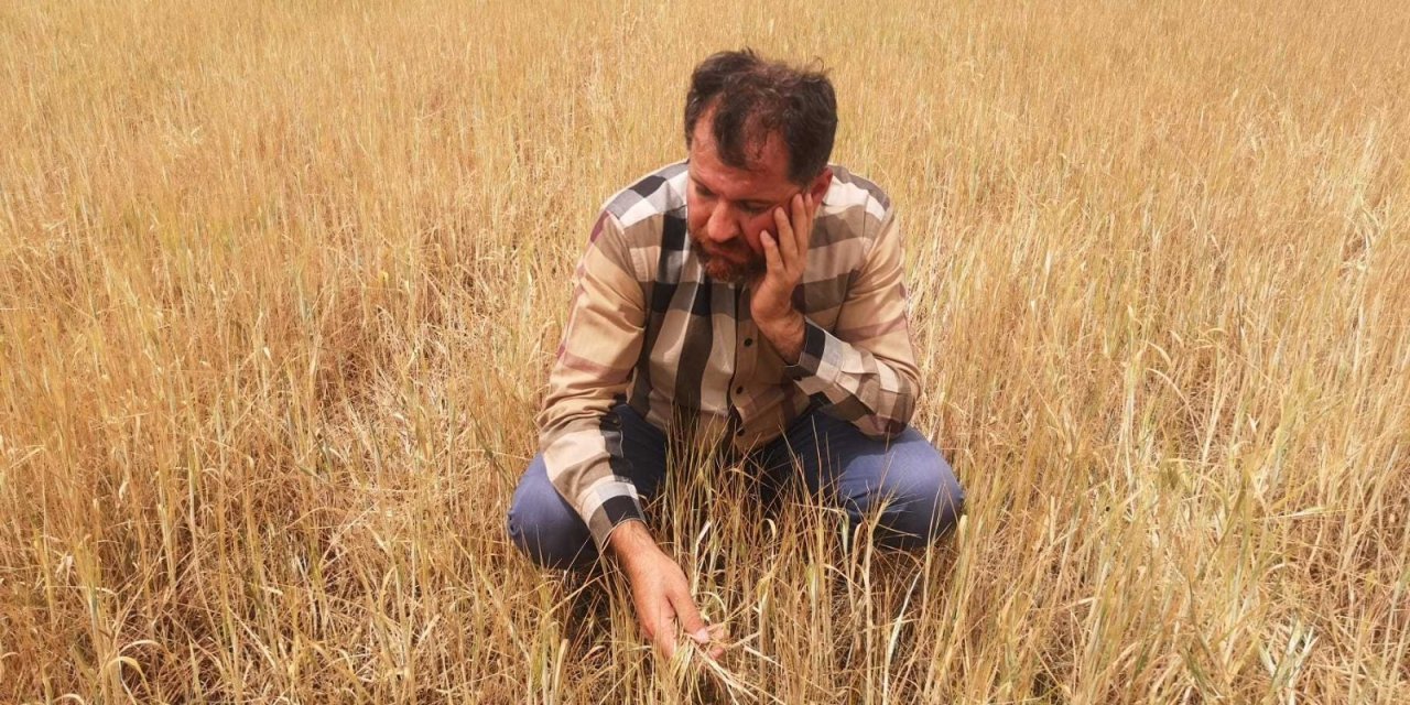 BAKAN PAKDEMİRLİ’NİN AÇIKLADIĞI KURAKLIK ÖDEMESİNE DİYARBAKIRLI ÇİFTÇİDEN TEPKİ: "SADECE 5 KÖYÜN HASARINI KARŞILAR"