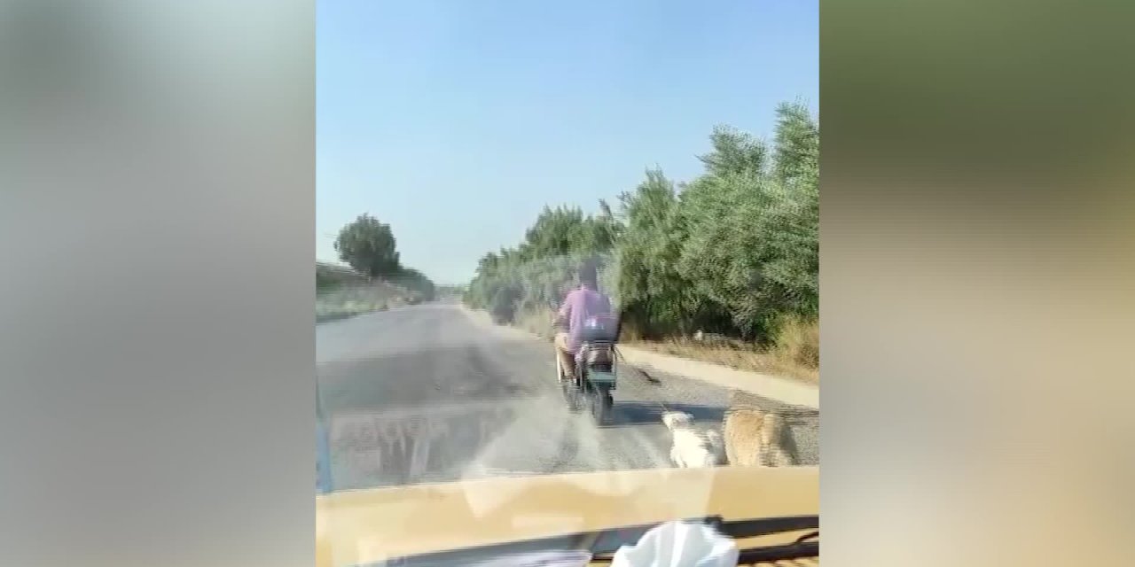YAVRU KÖPEĞİ MOTOSİKLETLE SÜRÜKLEDİ, 1033 LİRA CEZAYLA SERBEST BIRAKILDI