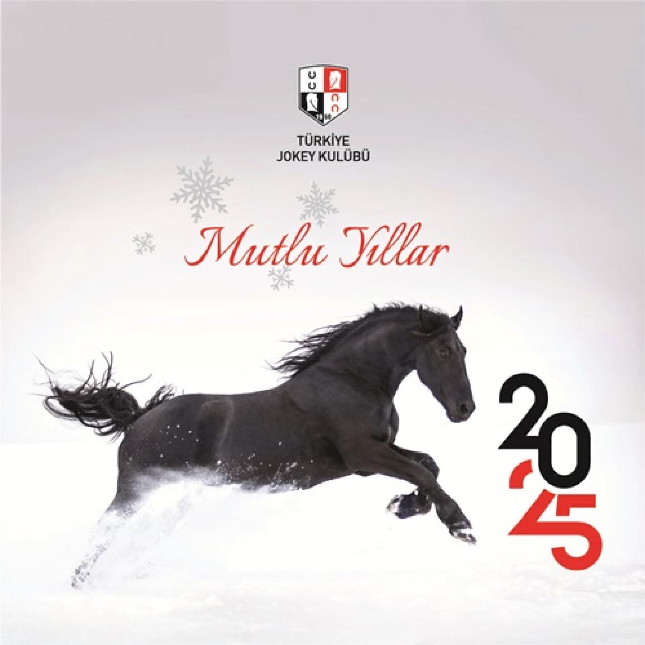 Yeni yılınızı en içten dileklerimizle kutlar, sağlık, başarı ve mutluluklar dileriz.