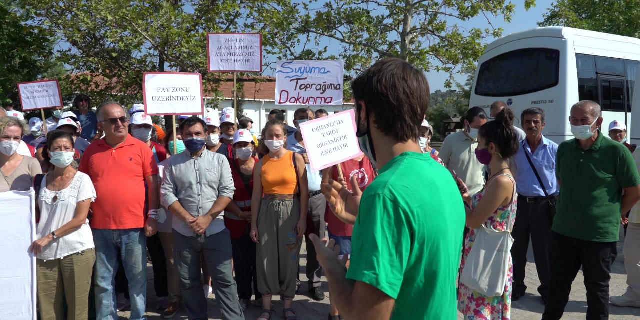 SEFERİHİSAR ORHANLI'DA ZEYTİN KATLİAMI