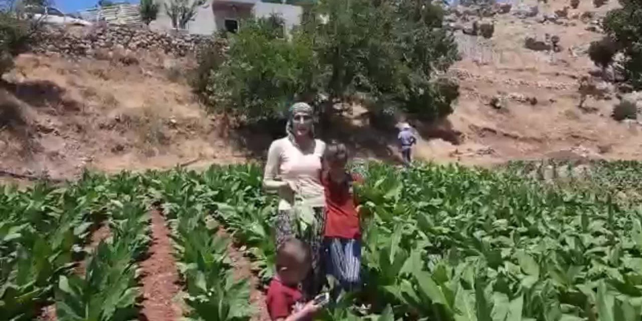 TUTUKLANAN TÜTÜNCÜNÜN KARDEŞİ: "EKMEĞİİÇİN MÜCADELE EDEN BİR İNSANI HAPSE TIKMAK, ADALETE SIĞMAZ"