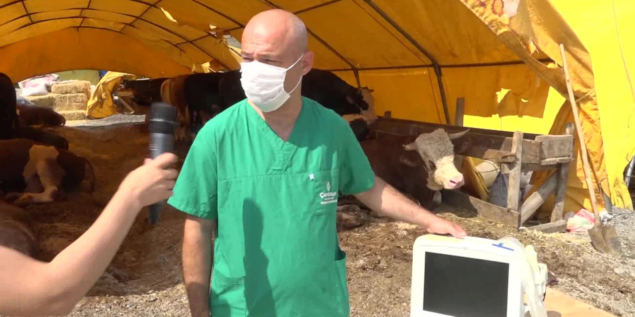 MÜHYE’NİN 1 TONLUK “PAŞA”SI İLGİ ODAĞI OLDU