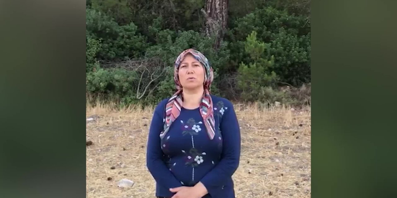 ORMANIN KESİLMESİNE İZİN VERENLER HAKKINDA SUÇ DUYURUSU