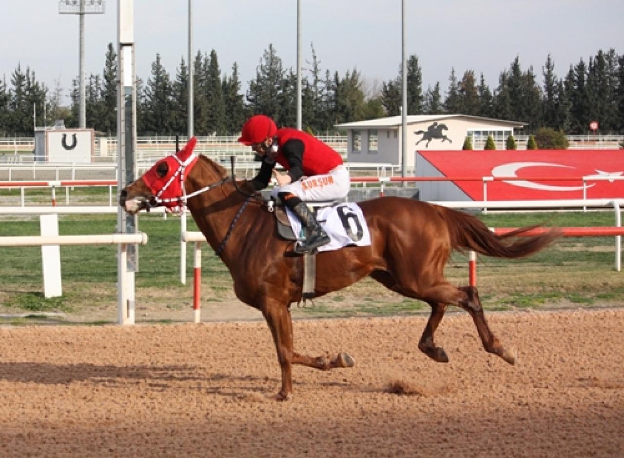 Misak-ı Milli Koşusu’nda zafer Özaydın’ın oldu