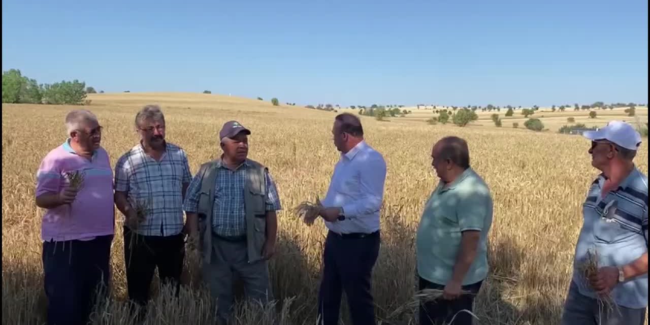 CHP'Lİ YALIM: "VAY HALİNE ÇİFTÇİMİZİN"