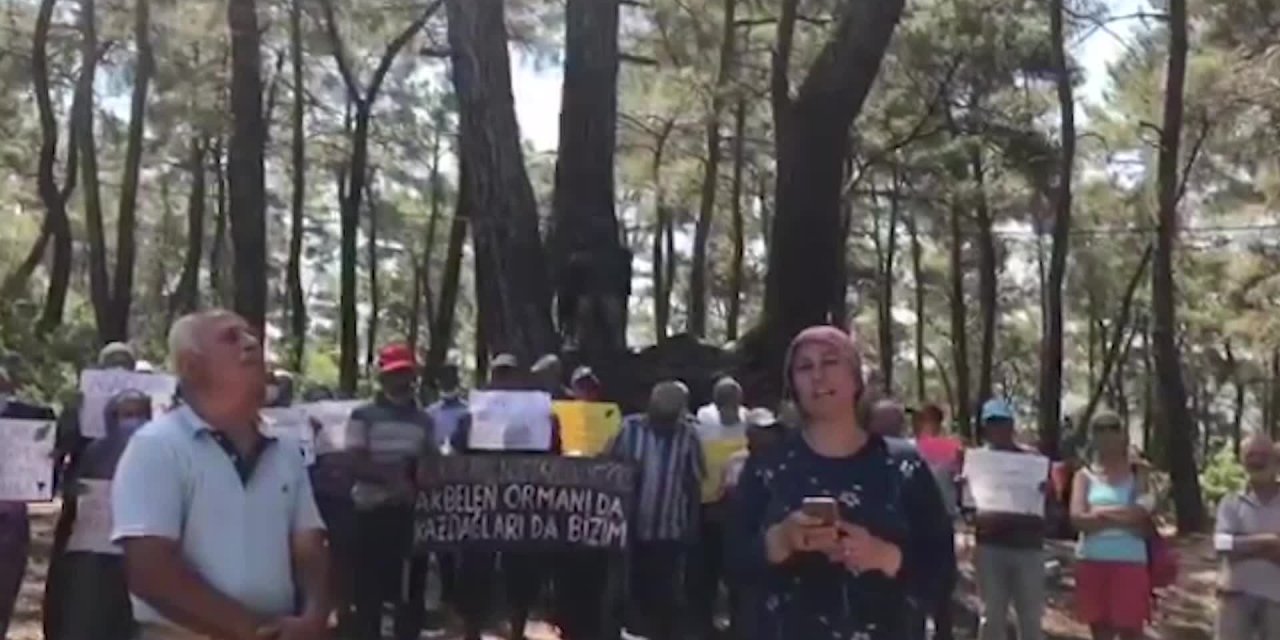 İKİZKÖYLÜLER ASIRLIK AĞAÇLAR İÇİN NÖBET TUTTU