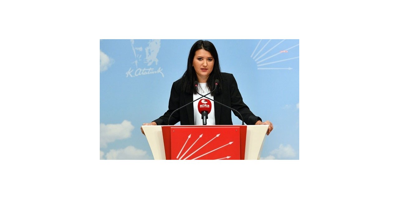 CHP’Lİ GÖKÇEN: "REKTÖRLÜK SEÇİMLERİ GERİ GELENE KADAR MÜCADELE DEVAM EDECEK"