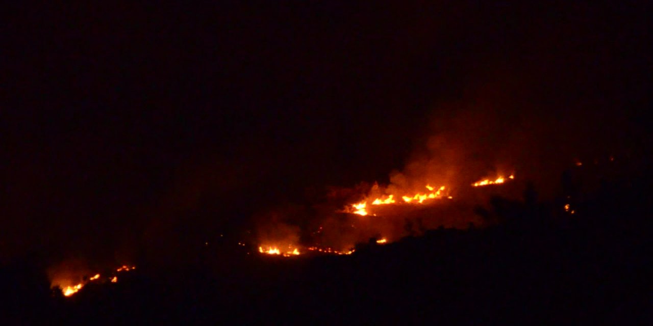 BODRUM GÜMÜŞLÜK’TEKİ ORMAN YANGINI GECE YARISI KONTROL ALTINA ALINDI