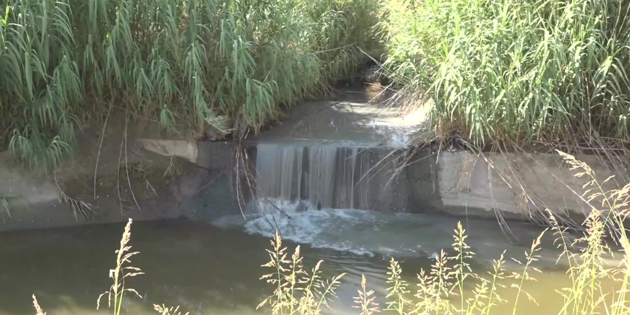 BAŞKAN TUNÇ SOYER KİRLİLİĞE İSYAN ETTİ: “BURADA KATLİAM VAR”