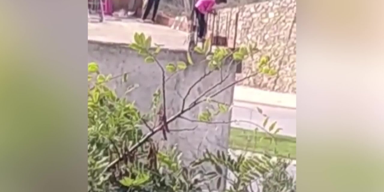 GEBZE’DE KEDİYE İŞKENCE GÖRÜNTÜLERİ HAYVANSEVERLERİ AYAĞA KALDIRDI