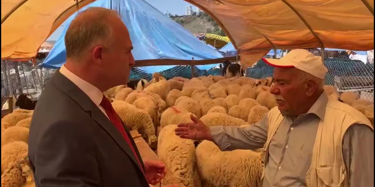 ANKARALI BESİCİLER KURBANLIKLARINI SATAMADI: "BU İŞİ BIRAKACAĞIZ"