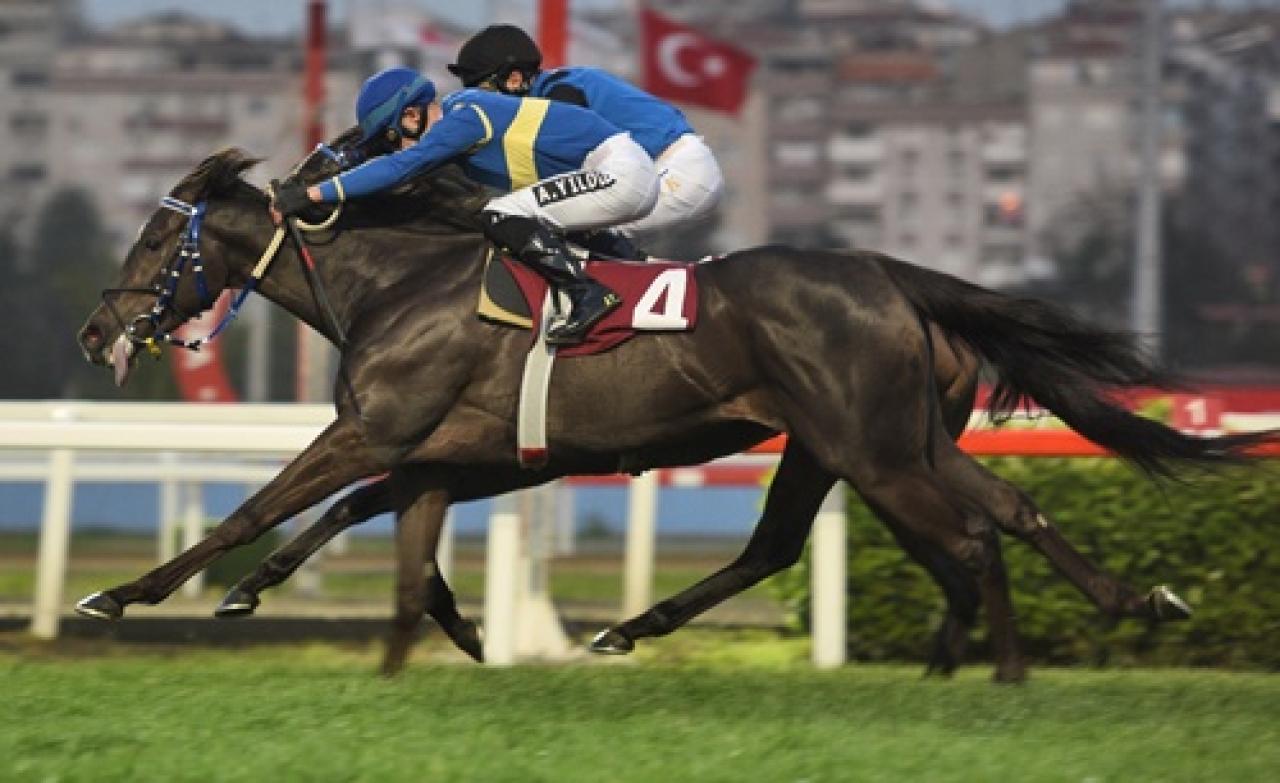 F. Derya Beşikçi Koşusu'nu Dejavu kazandı