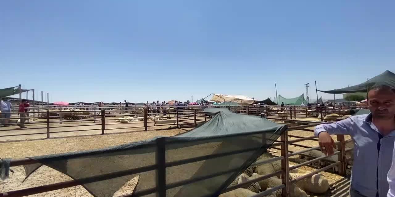 KIRŞEHİRLİ BESİCİLER CHP'LİİLHAN'A DERT YANDI: "BUGÜN 1 TANE KOYUN SATTIM"