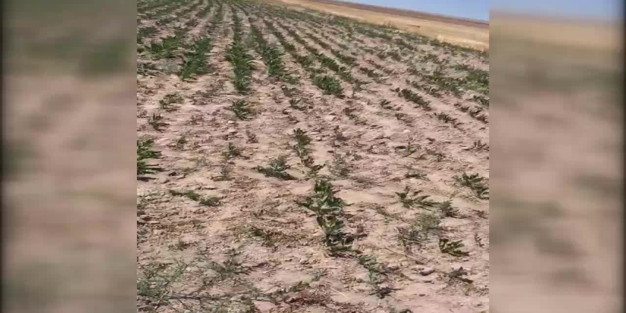 YOZGAT’DA ÇİFTİ PARASINI ÖDEDİĞİ SUYU ALAMIYOR