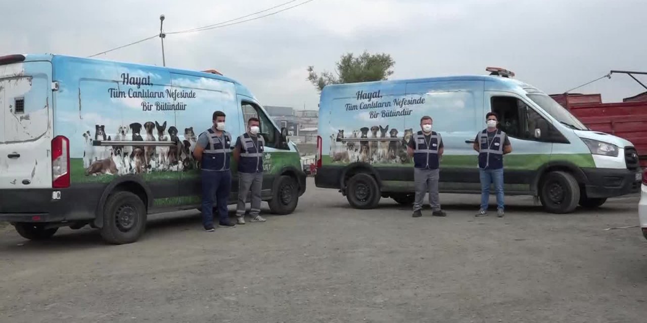 ESENYURT BELEDİYESİ'NİN ‘KURBAN YAKALAMA TİMİ’ GÖREVE HAZIR