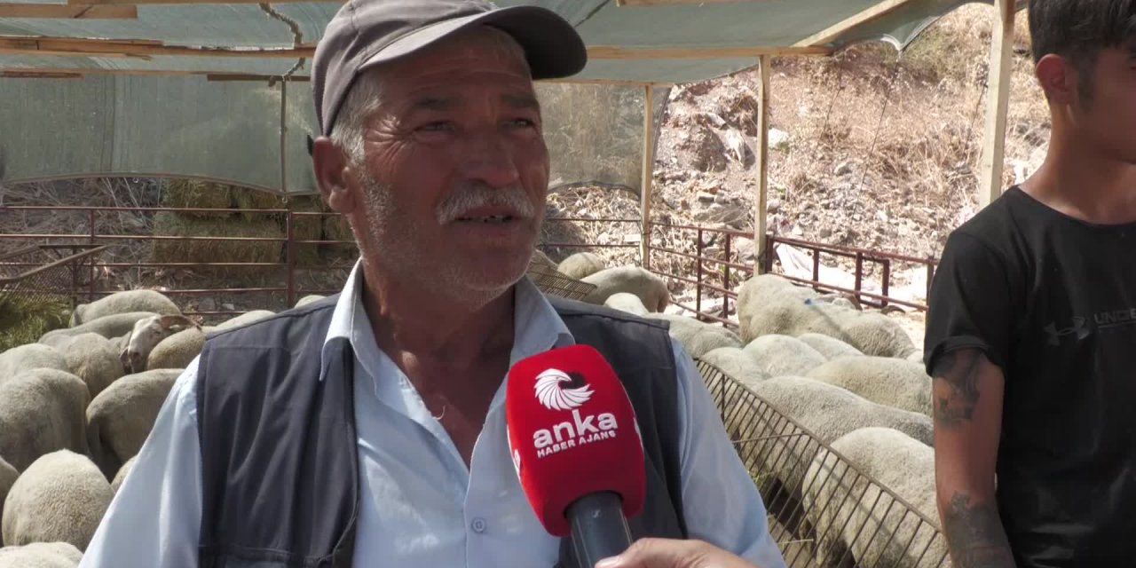 İZMİR'E KURBANLIK GETİREN BESİCİLER DERTLİ: "AKP GELDİ GELELİ ZARAR EDİYORUM"