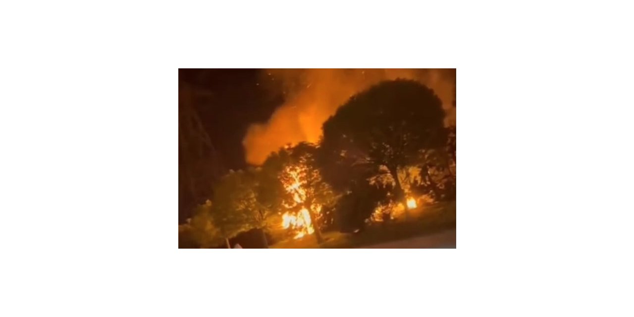 SULTANGAZİ’DE ORMANLIK ALANDA KORKUTAN YANGIN