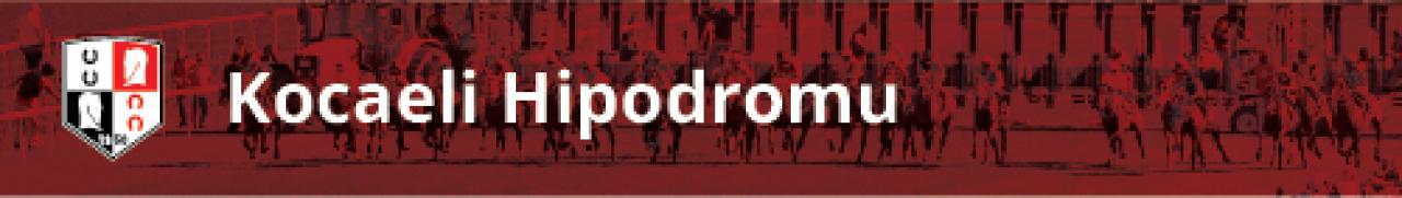 Kocaeli yaz dönemi ahır tahsisleri belli oldu