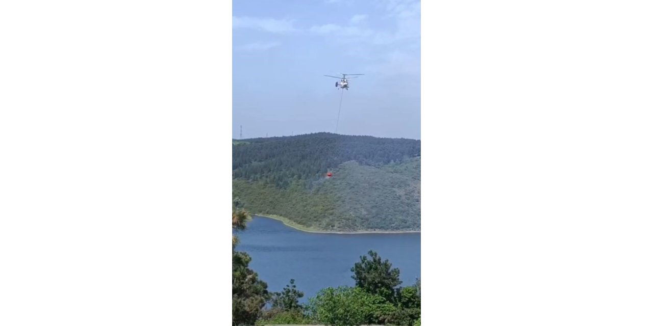 SULTANGAZİ’DE ORMAN YANGINI