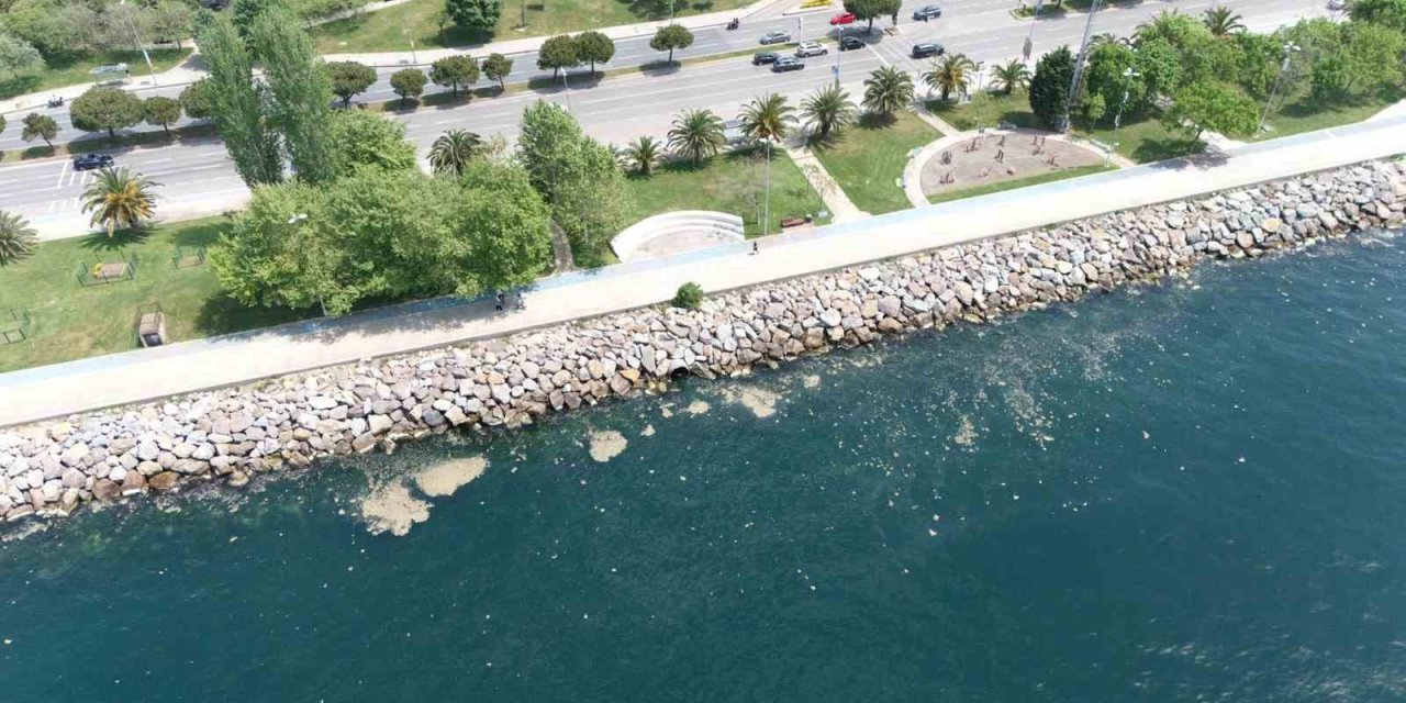 MALTEPE SAHİL ŞERİDİNDE MÜSİLAJ GÖRÜLDÜ