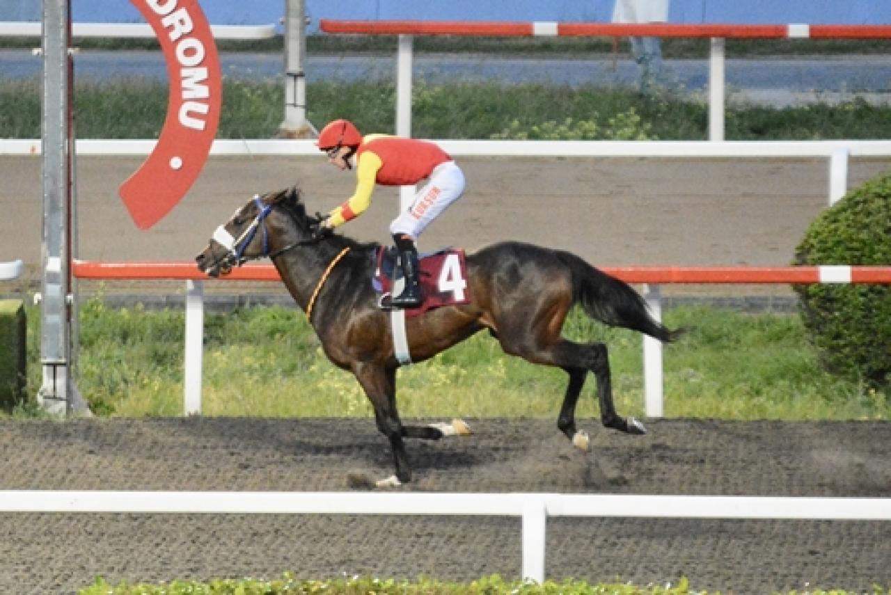 Akgün Midillili Koşusu'nda kazanan Dragons Son oldu