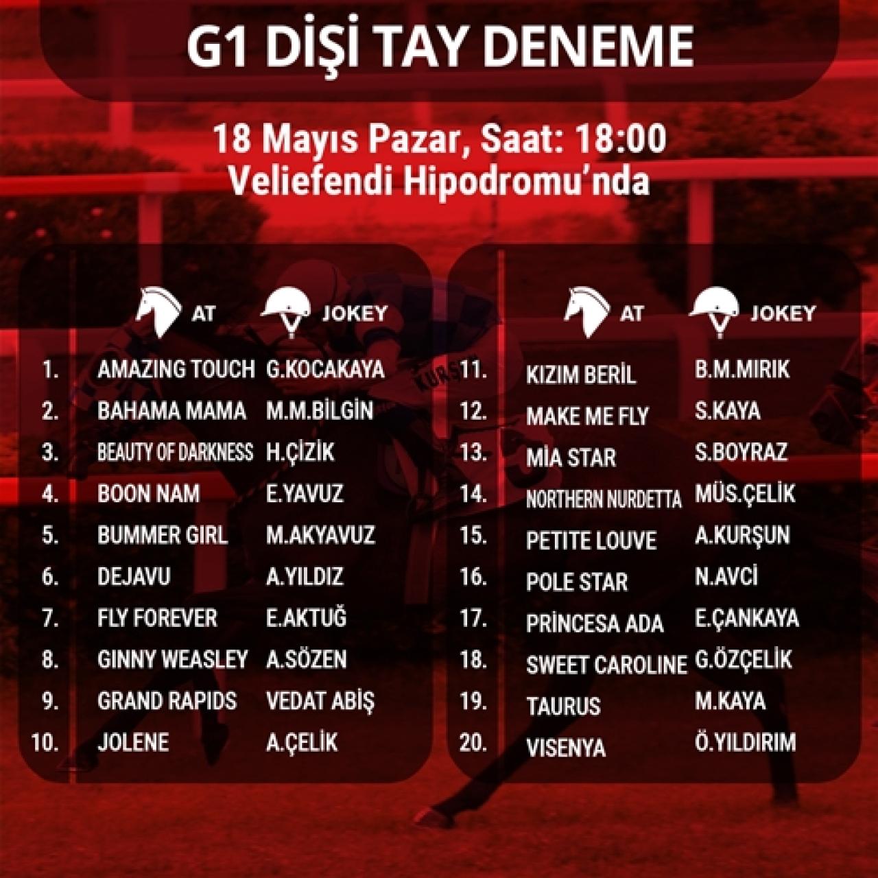 70. Dişi Tay Deneme ve Bi’Talih Erkek Tay Deneme Koşuları Pazar günü Veliefendi'de