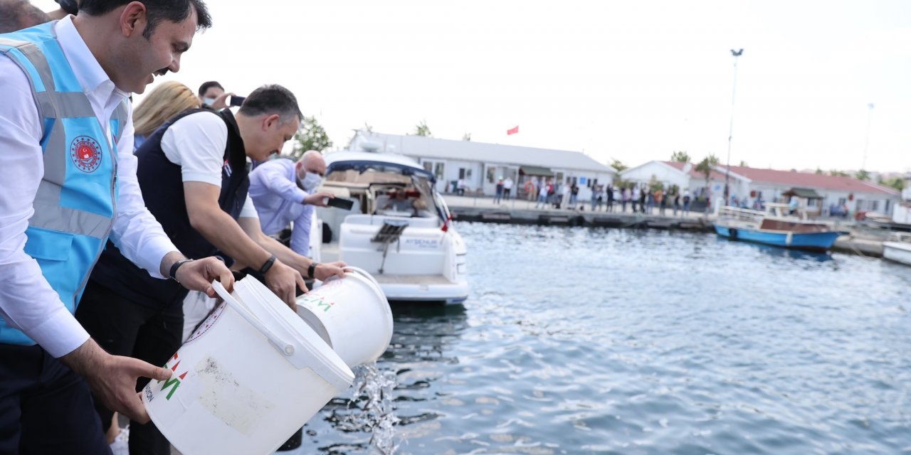 BAKAN KURUM’DAN MÜSİLAJ AÇIKLAMASI: "BİN 201 DENETİMDE, 7 MİLYON 166 BİN TL CEZA KESİLDİ"