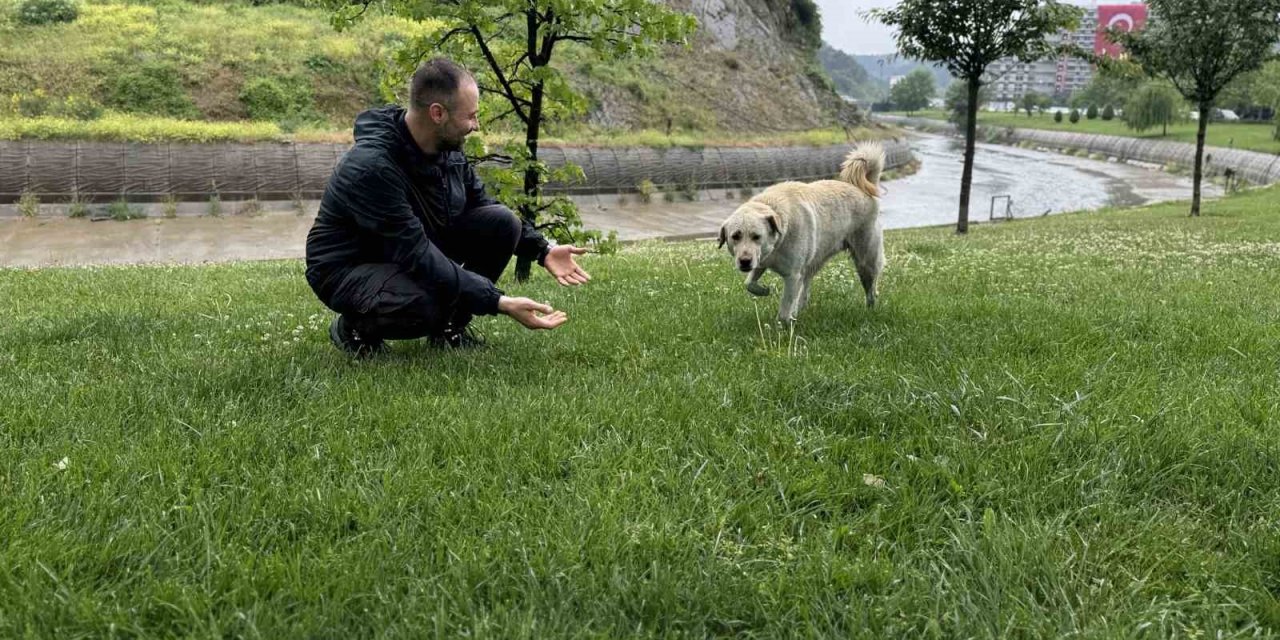 BANKADA MAHSUR KALAN KÖPEK ALARM SİSTEMİNİ DEVREYE SOKTU: ÇEVREDEKİLER HIRSIZ VAR SANDI