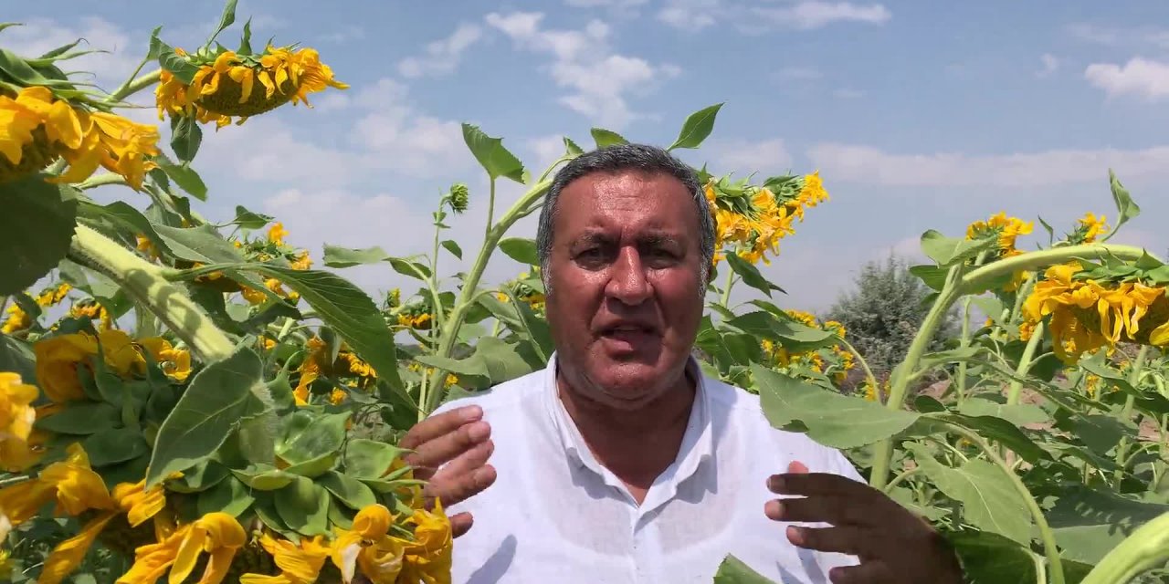 CHP'Lİ GÜRER, BAKAN PAKDEMİRLİ'YE AYÇİÇEĞİ YAĞINI SORDU: "FİYATI ZEYTİN YAĞINA ERİŞTİ"