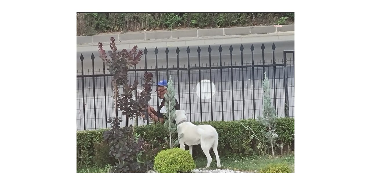 BAKANI SELÇUK, VATANDAŞIN KÖPEĞİ PERGEL’E GAZETE OKUDUĞU FOTOĞRAFI PAYLAŞTI