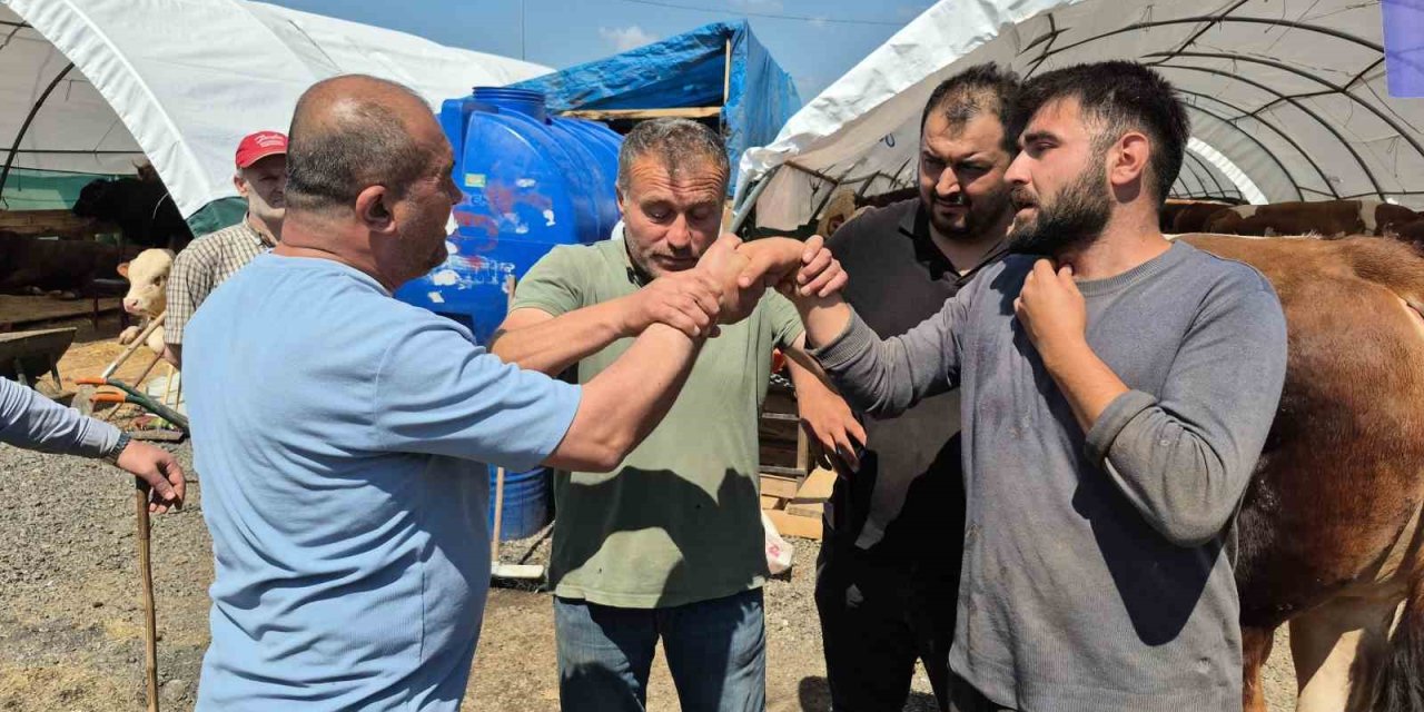 SULTANGAZİ KURBAN PAZARINDA BAYRAM HAREKETLİLİĞİ DEVAM EDİYOR