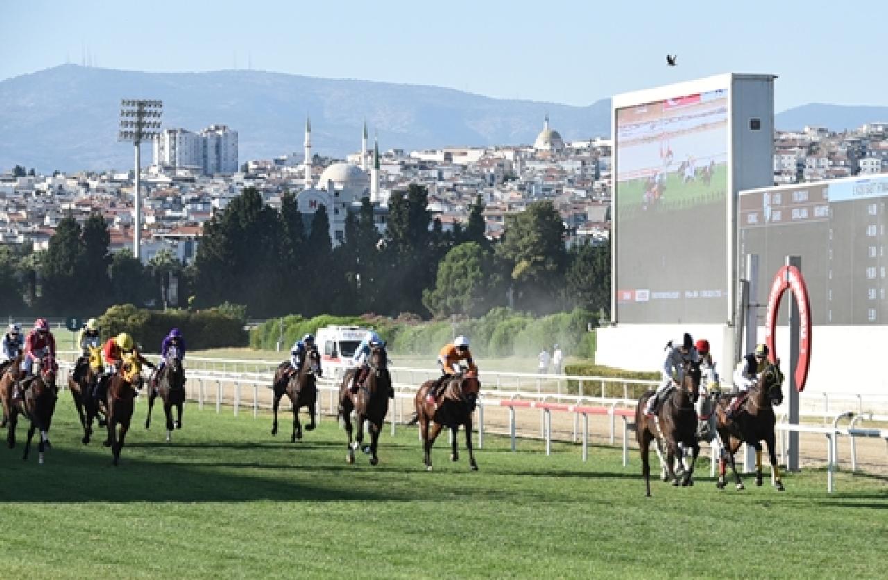 Iğdır’da Şap Hastalığına Karşı Aşılama Yapılıyor