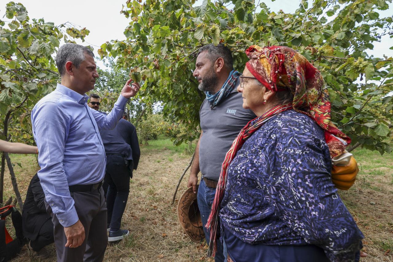 Türk Hava Yolları, Kanada’daki Etkinliğini Artırıyor
