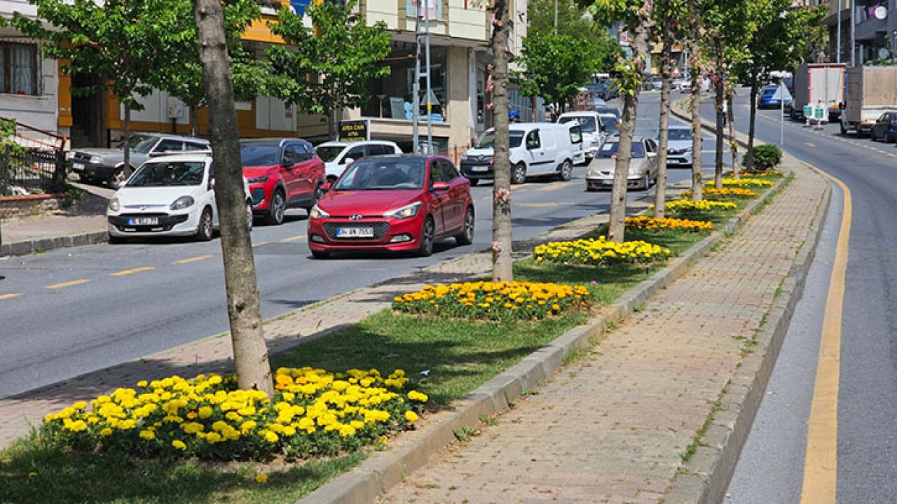 KÂĞITHANE YAZ MEVSİMİNDE ÇİÇEKLERLE CANLANDI