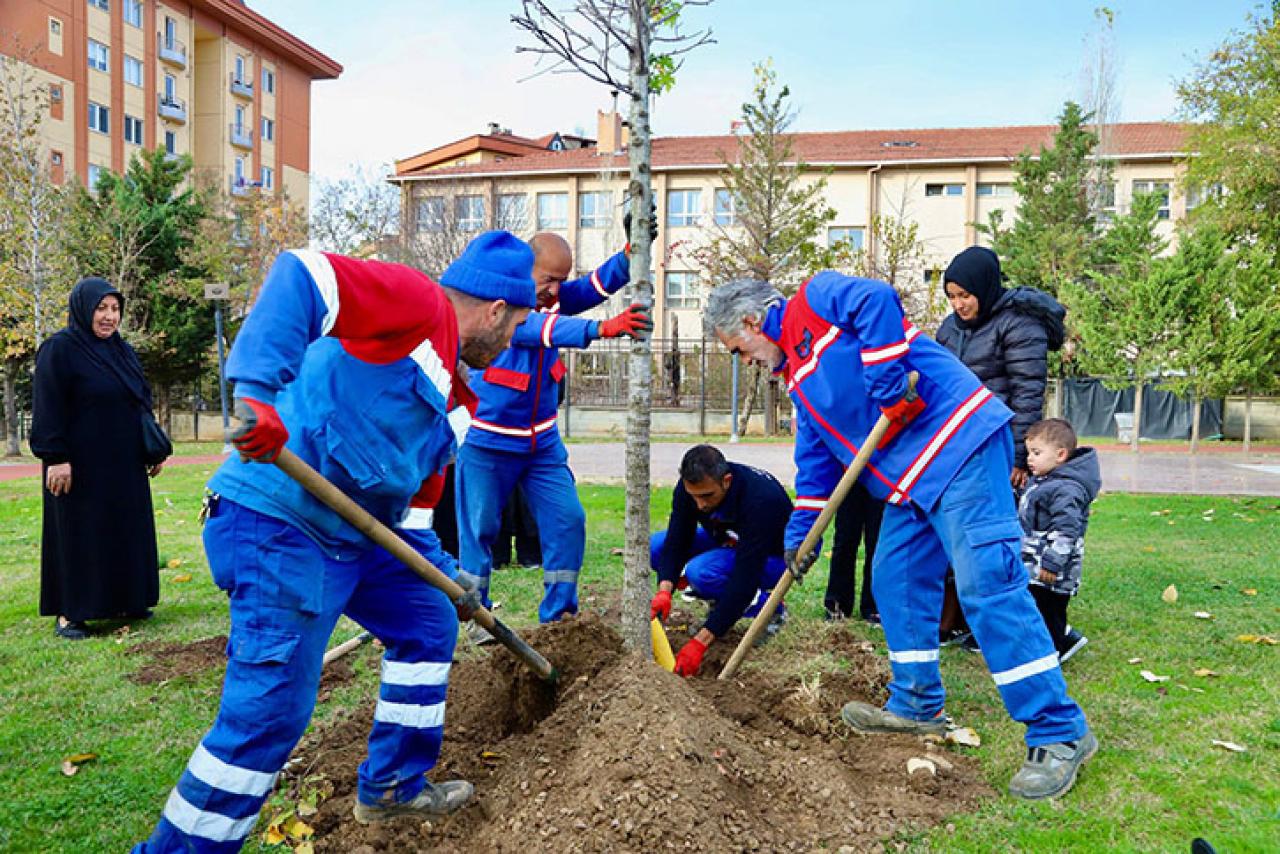 KÂĞITHANE’DE YENİ HAYATLAR, YENİ AĞAÇLARLA BULUŞUYOR
