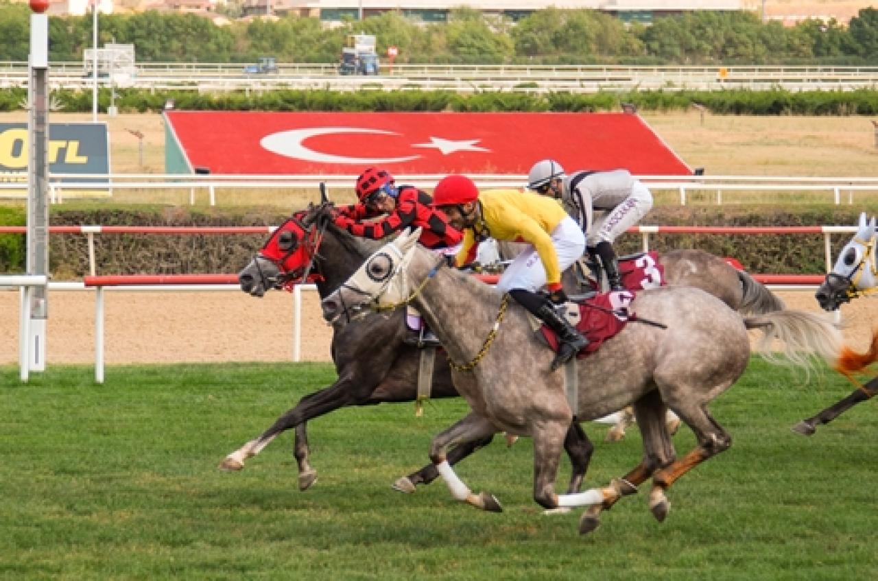 Yaşar Esin Koşusu'nu Kanatlı Oğlu kazandı