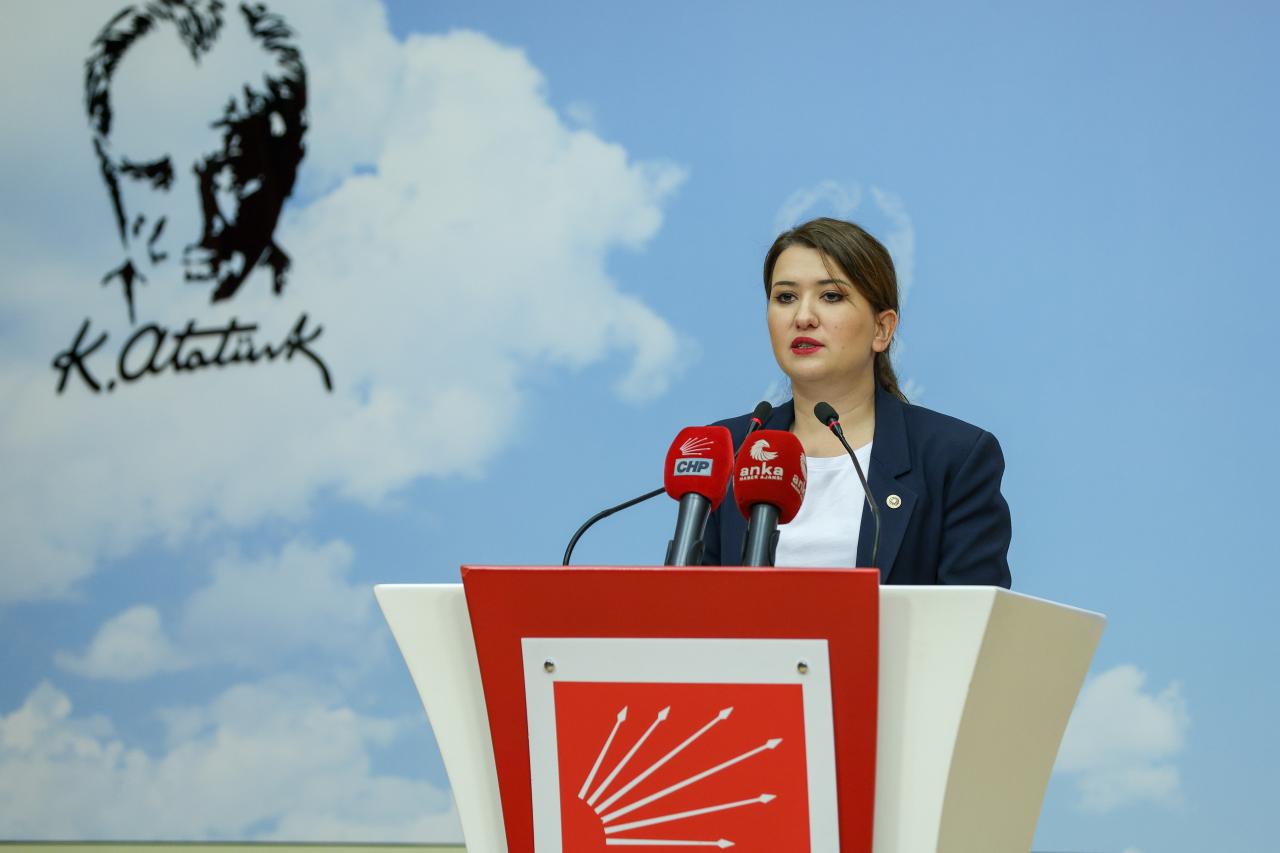 Gökçe Gökçen’den 1 Eylül Dünya Barış Günü Mesajı