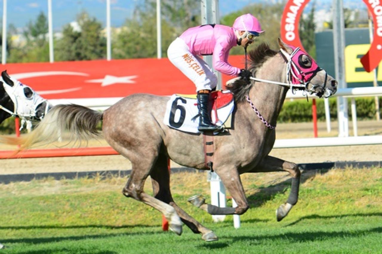 Bursa’daki G3 koşuda zafer Serhunefe’nin oldu
