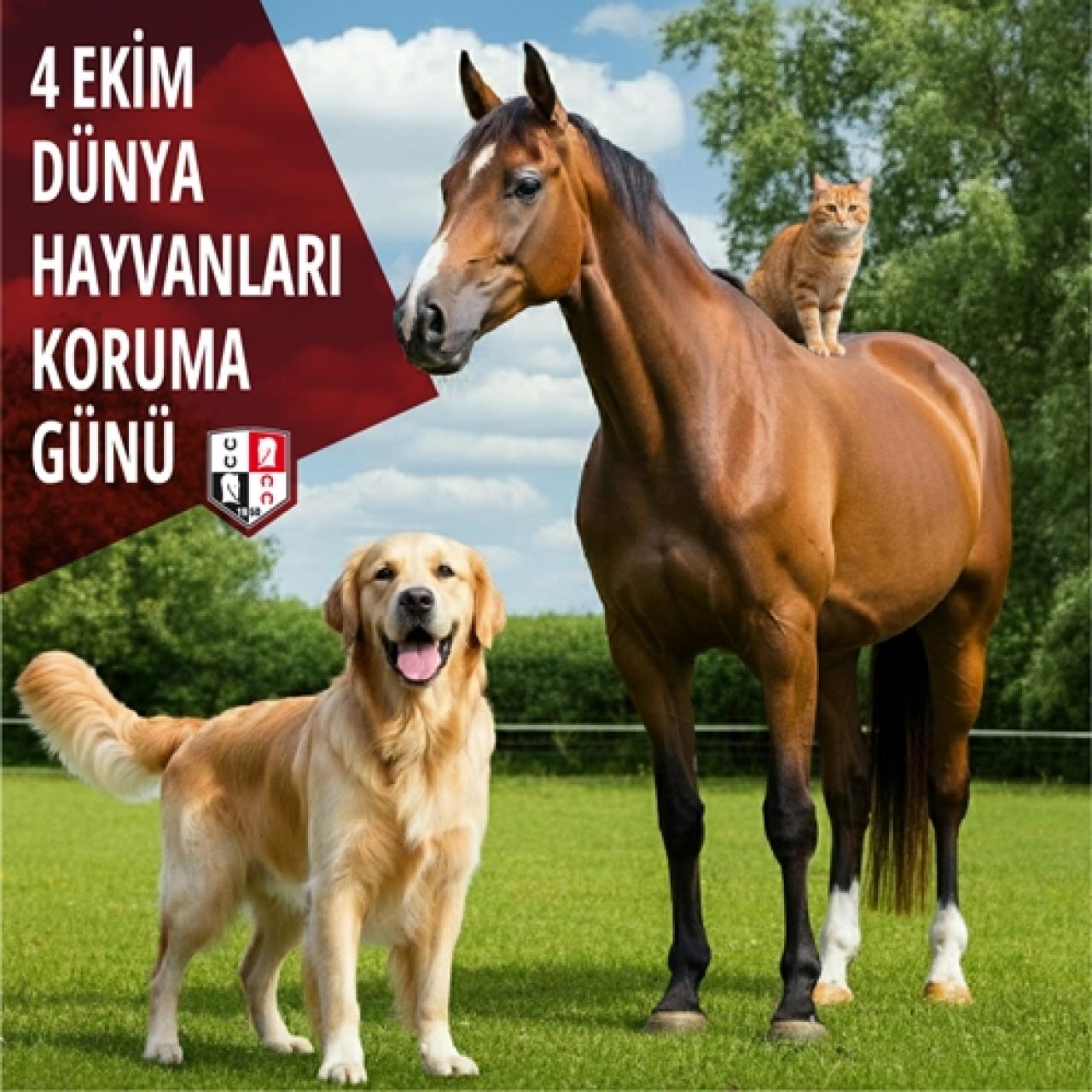 4 Ekim Dünya Hayvanları Koruma Günü