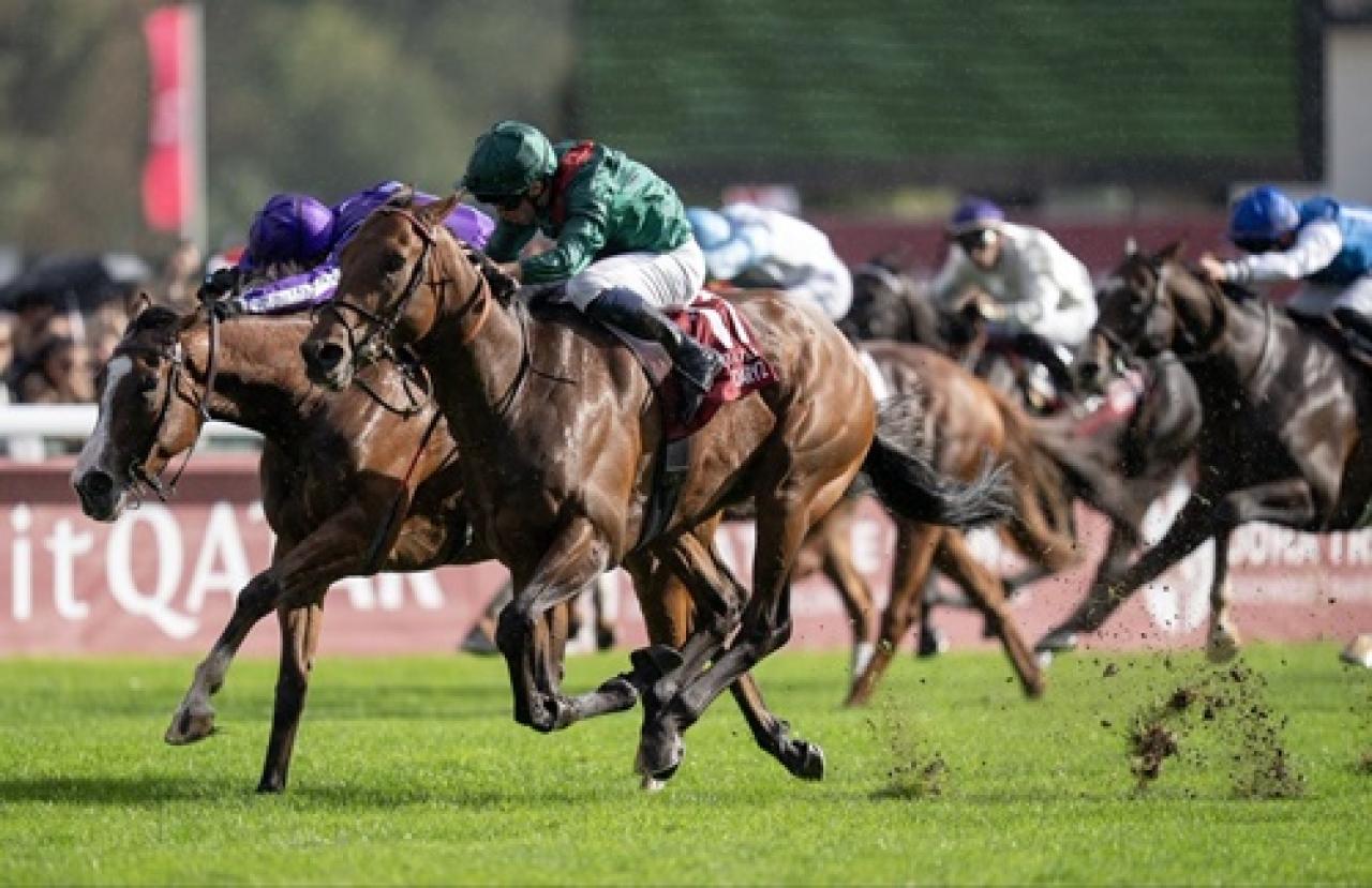 104. Prix de l’Arc de Triomphe’da Daryz zafere ulaştı