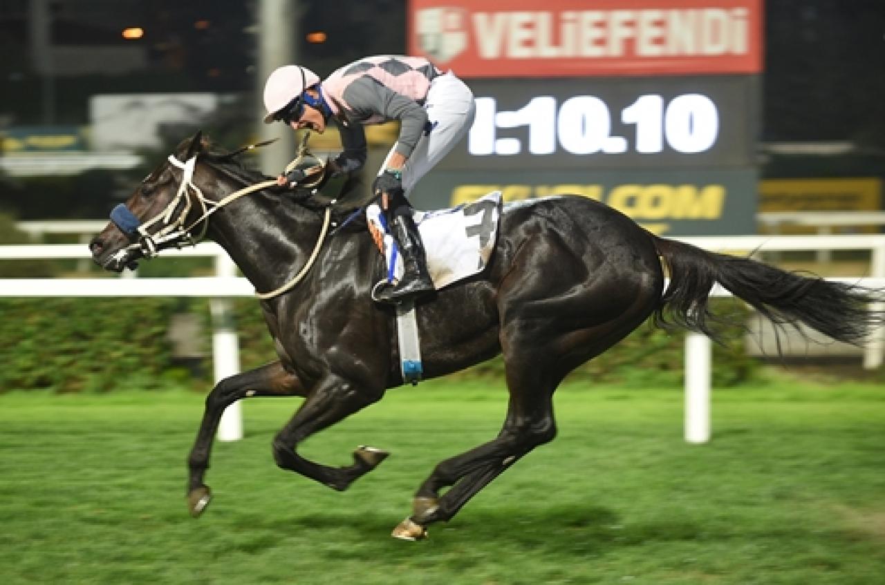 Prens Halim Sait Türkhan Koşusu'nda kazanan Battle For Glory oldu